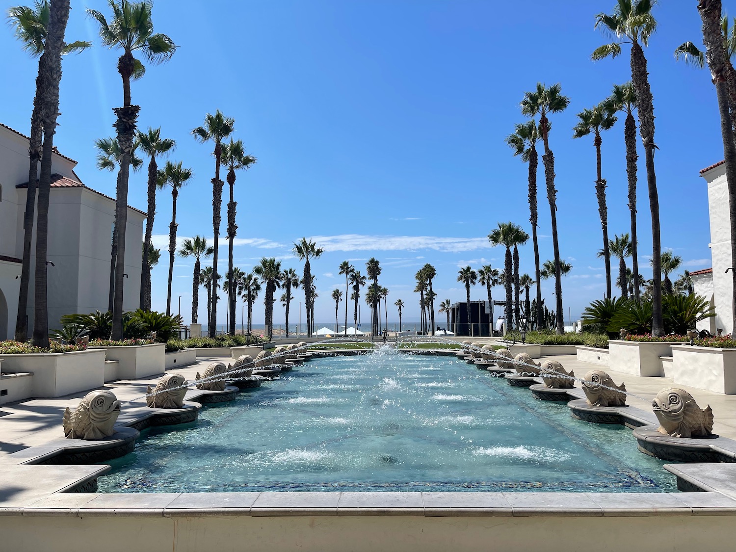 a pool with palm trees and a building