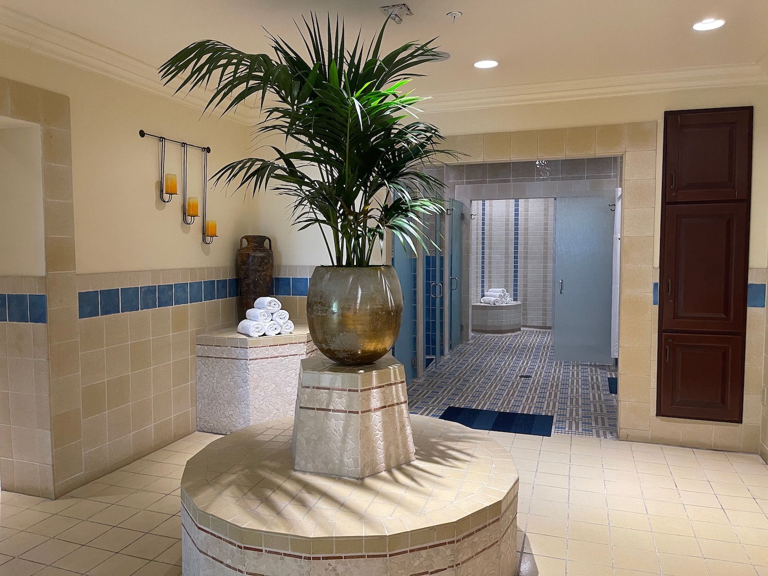 a room with a large potted plant