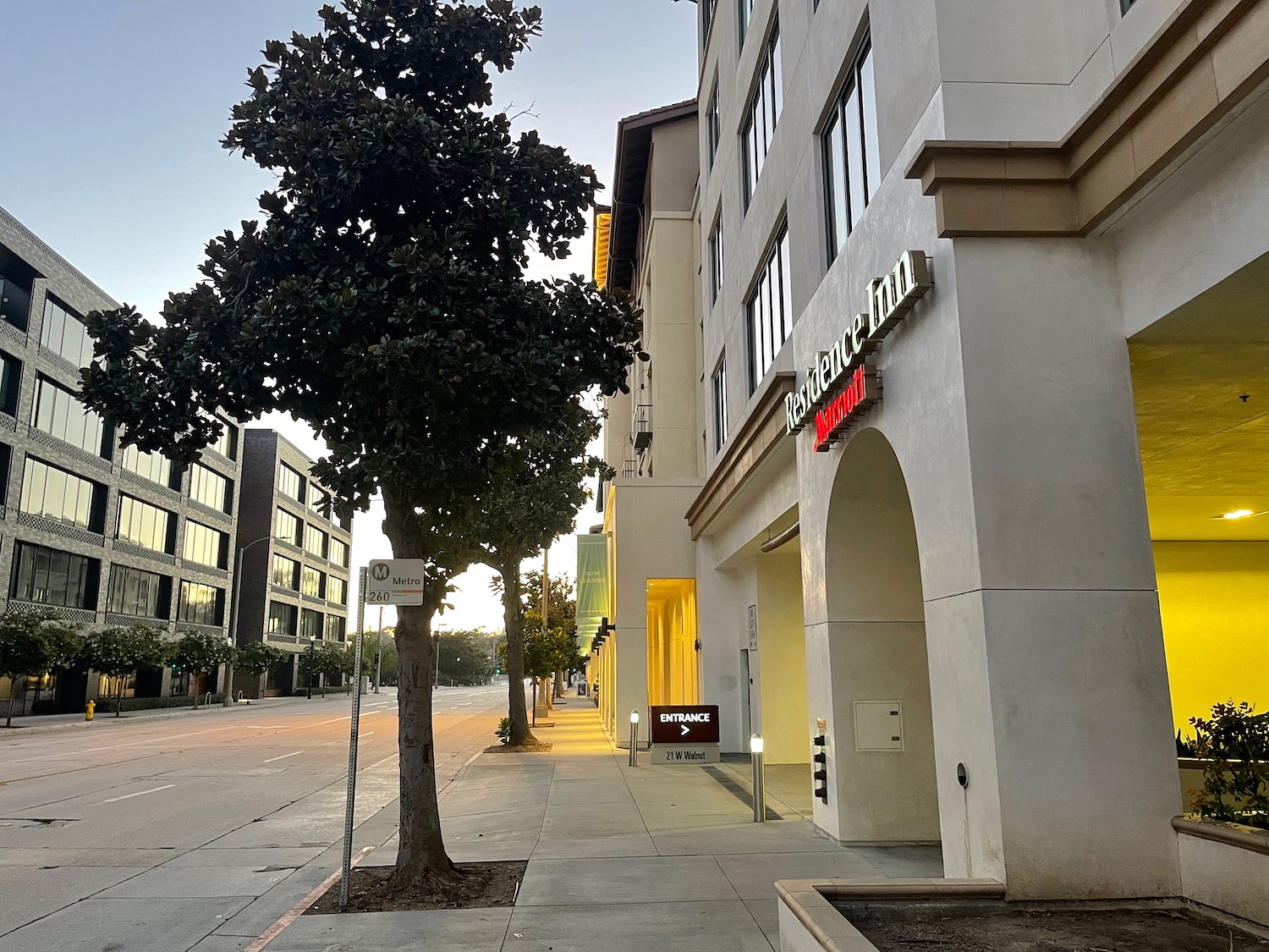 a tree on the side of a street