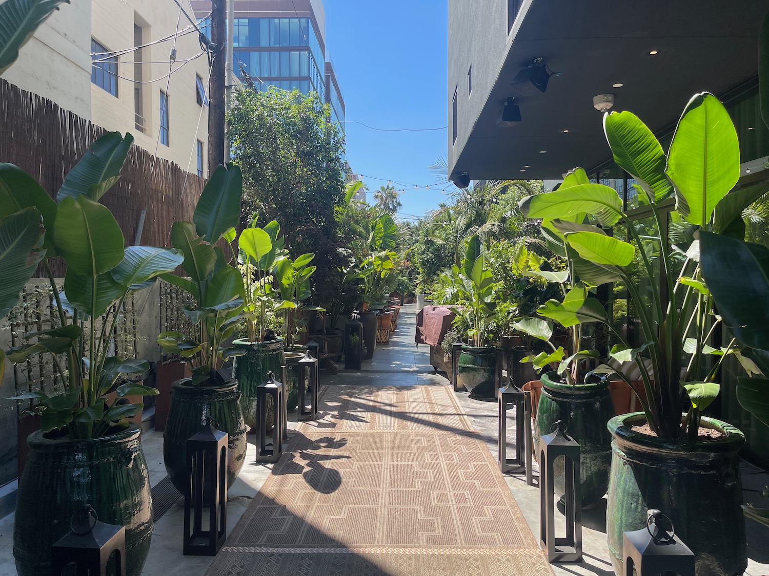 a walkway with plants in pots