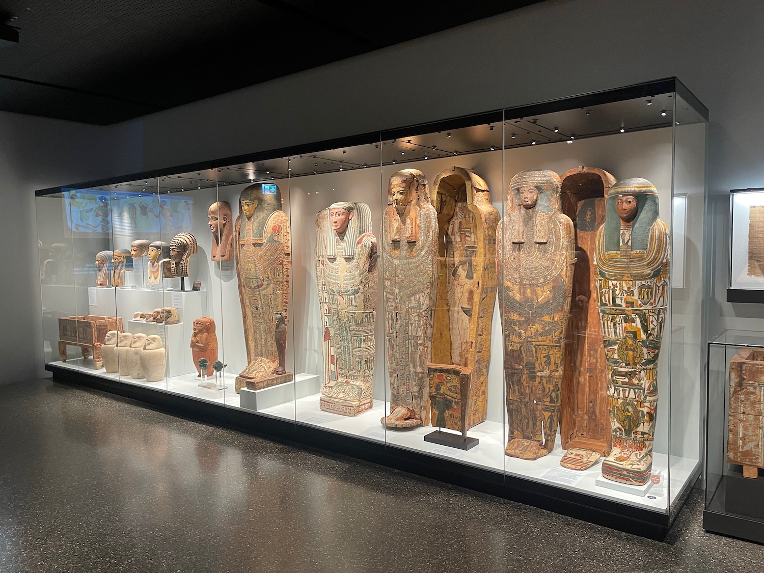 a display case with egyptian coffins