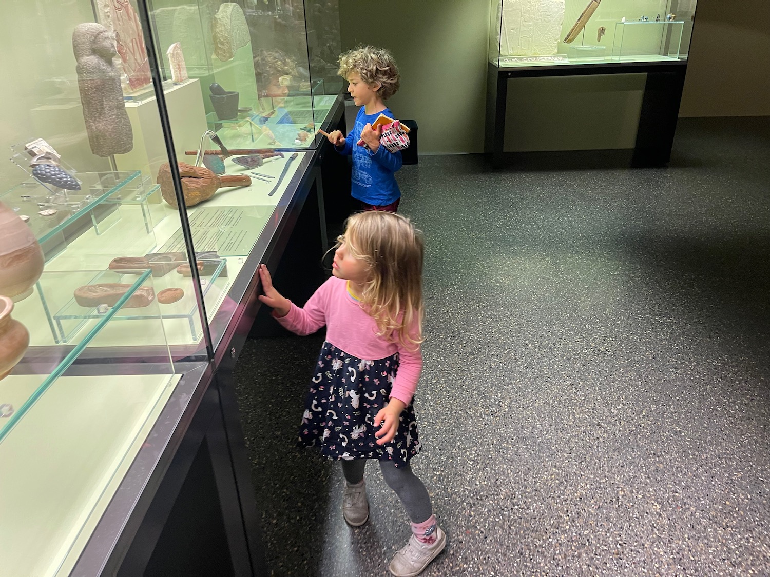 a kids looking at a display case