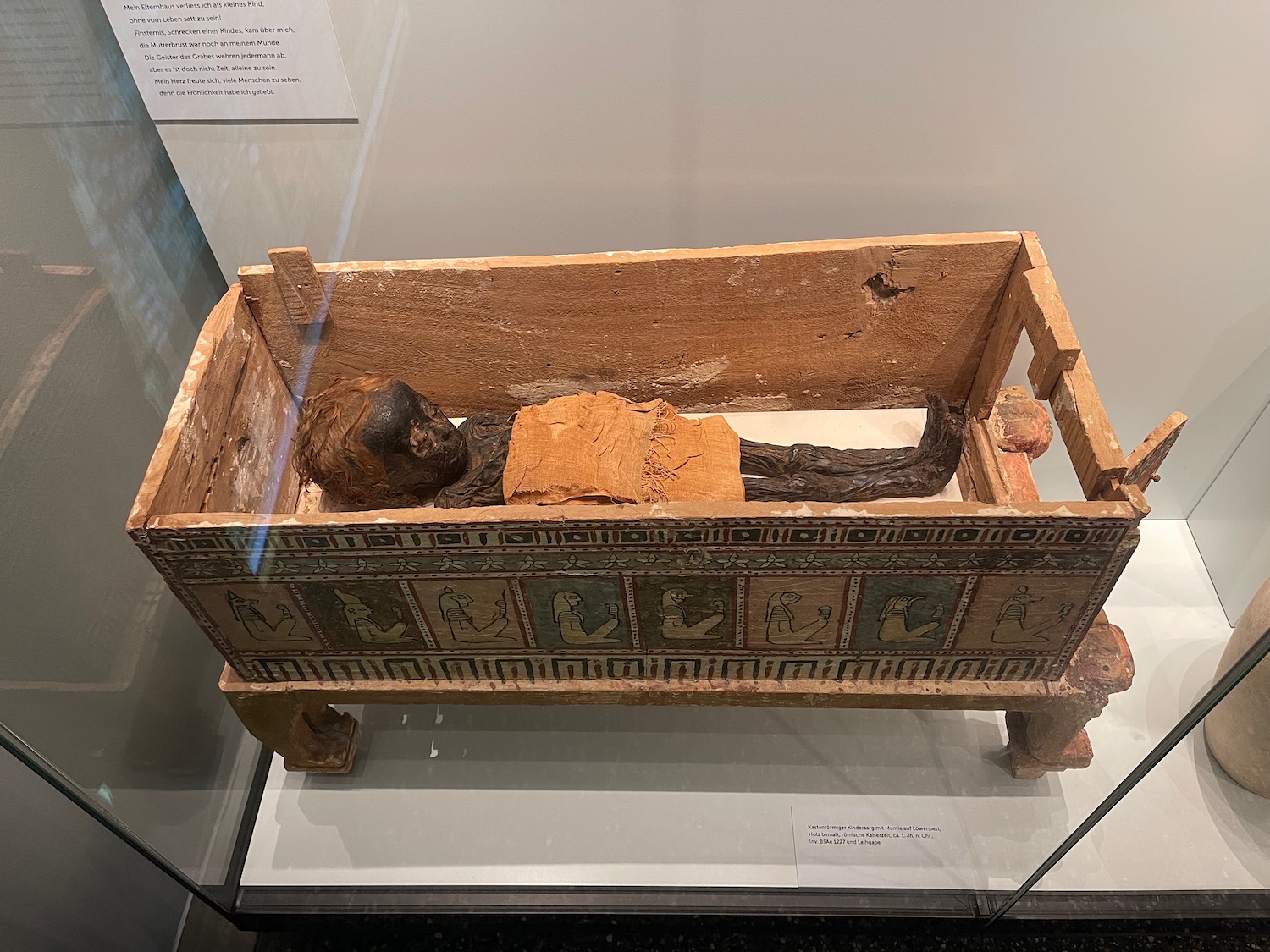 a mummy in a wooden coffin