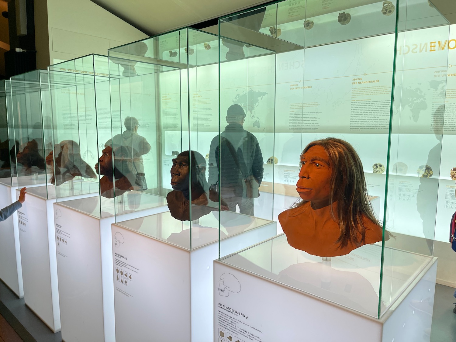 a group of people in a museum display case
