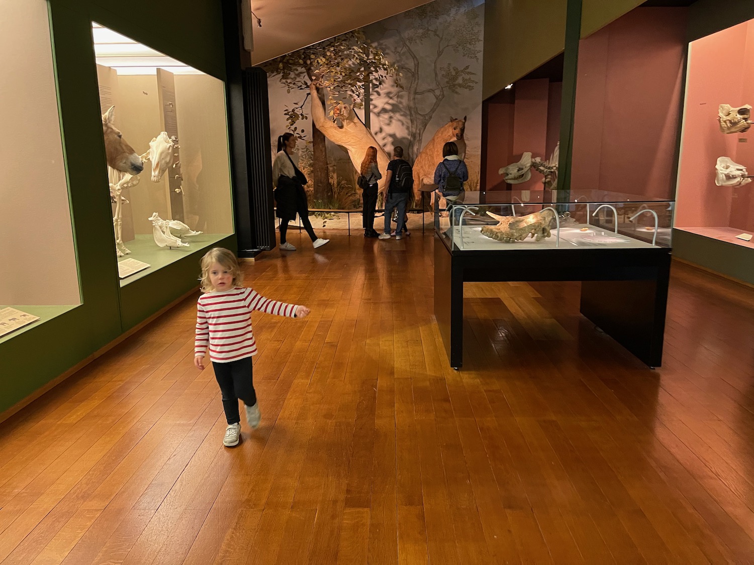 a child walking in a museum