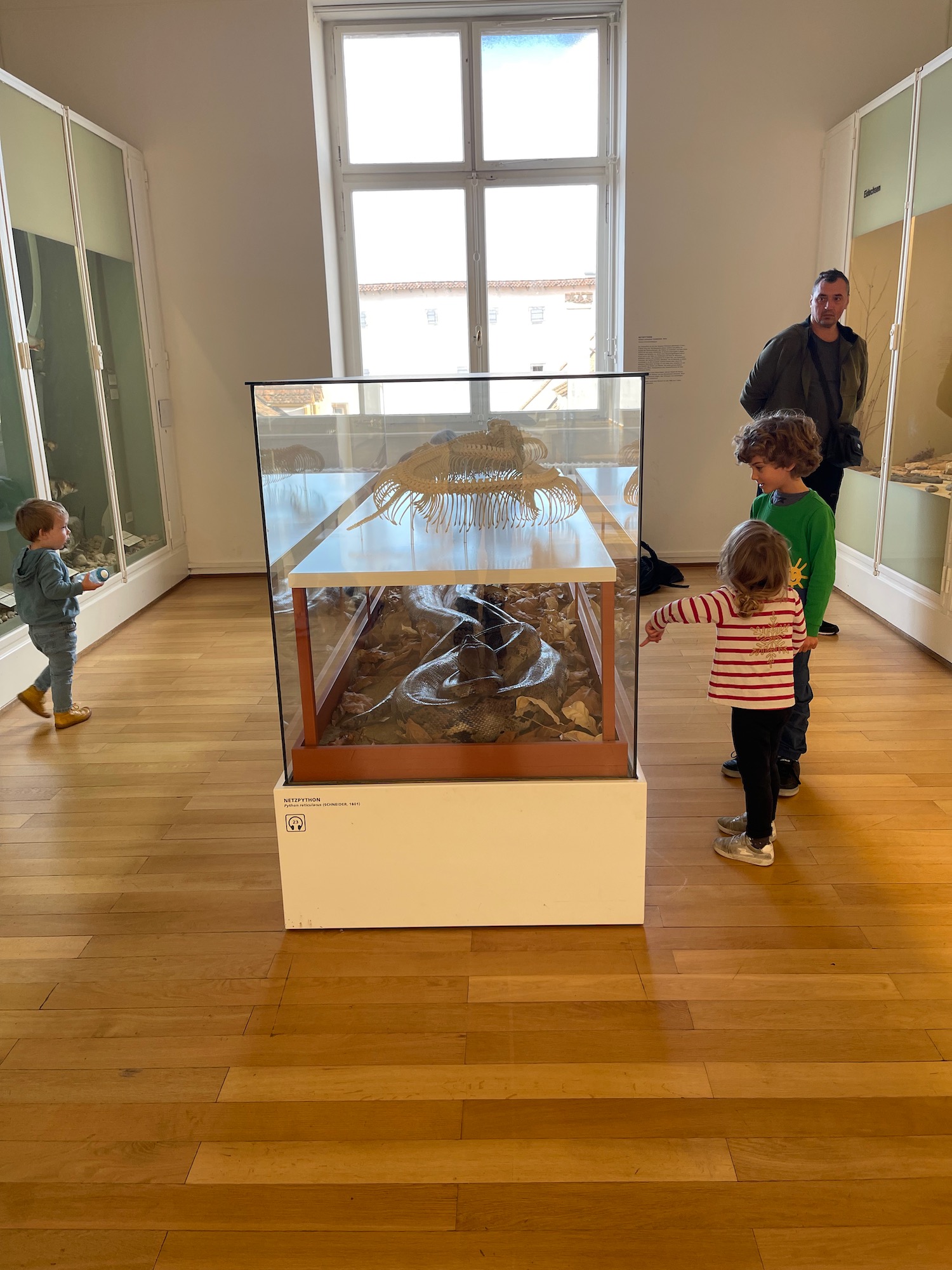 a group of kids looking at a dinosaur skeleton in a glass case