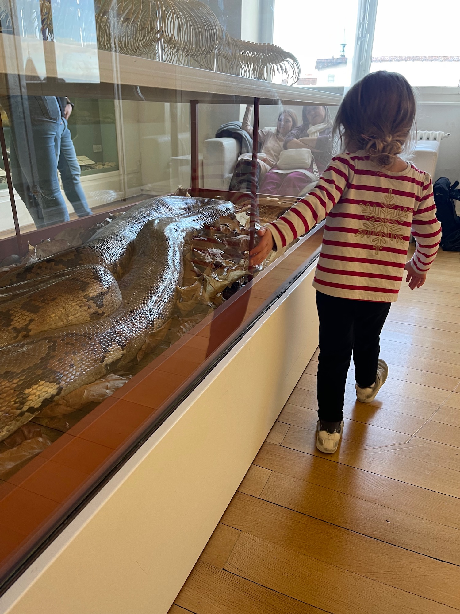 a child touching a snake in a glass case