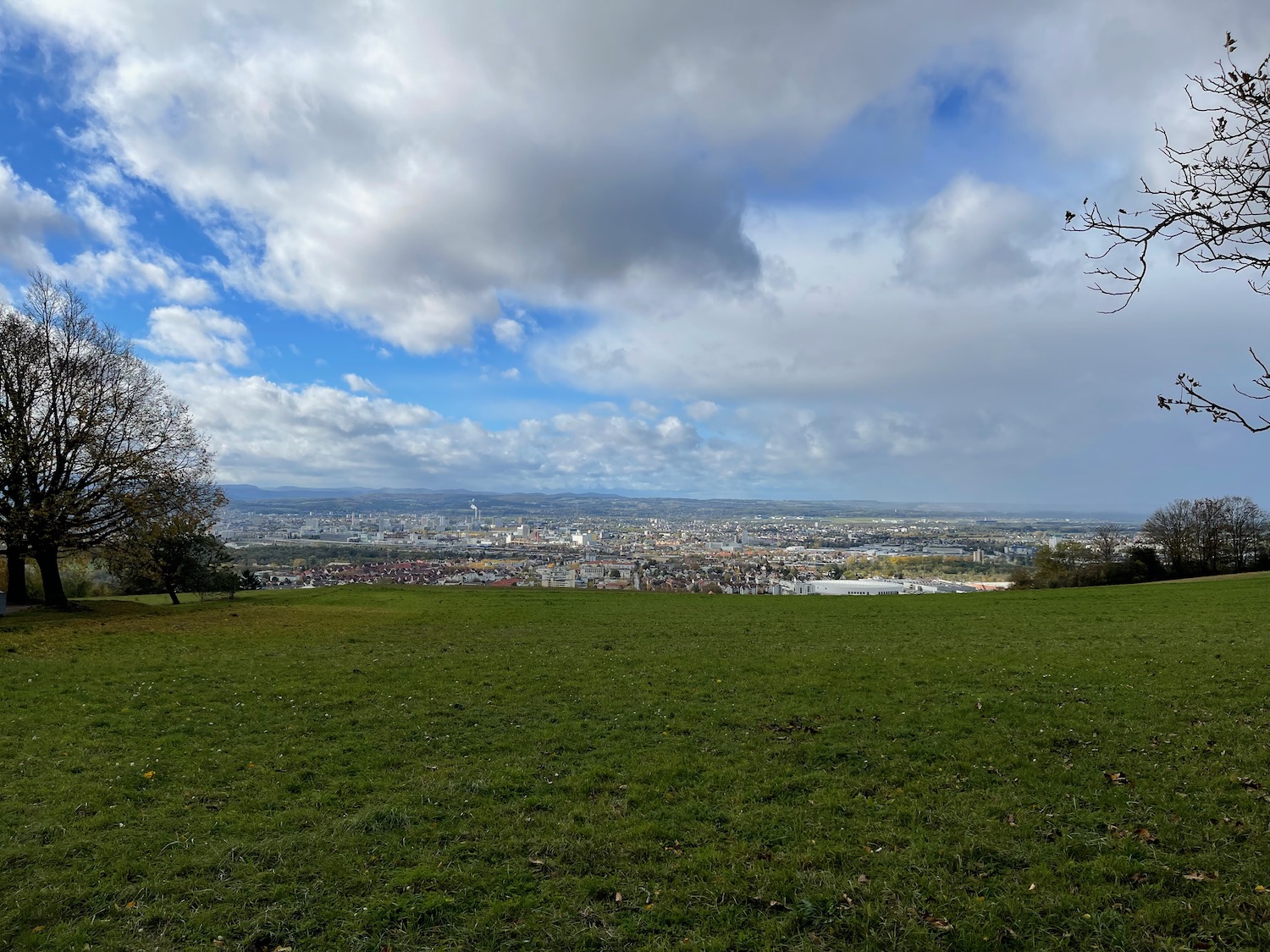 a grassy field with a city in the background