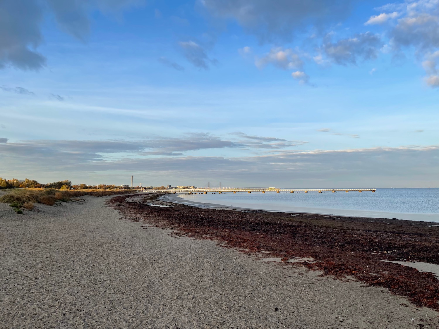 a beach with a body of water and a pier