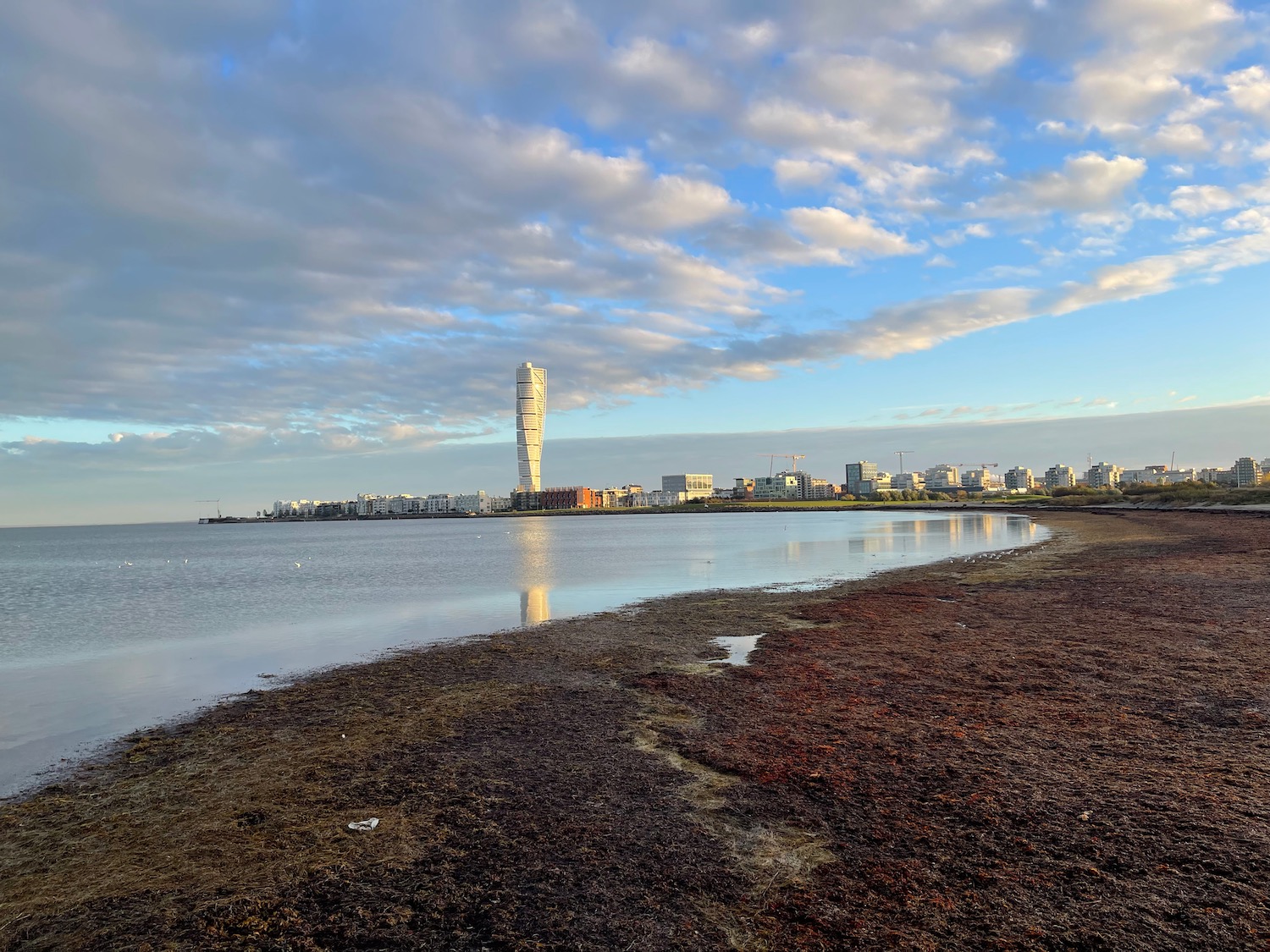 a beach with a city in the background