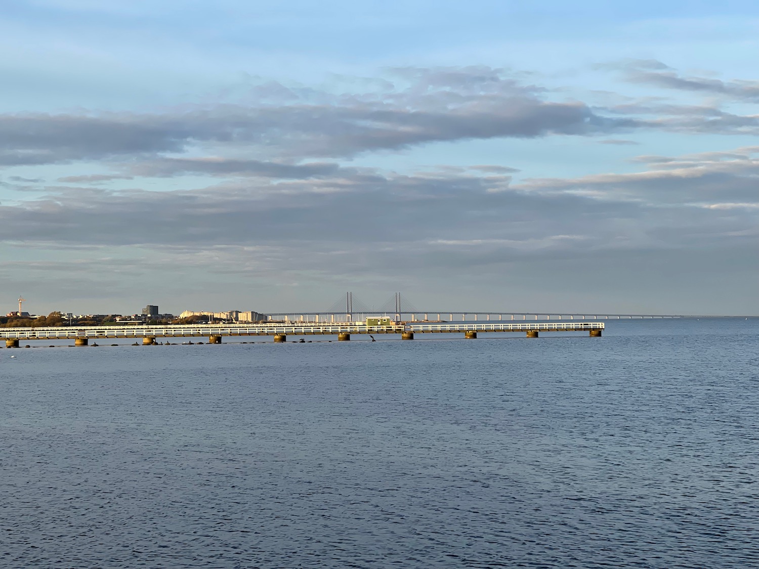 a bridge over water with buildings in the background