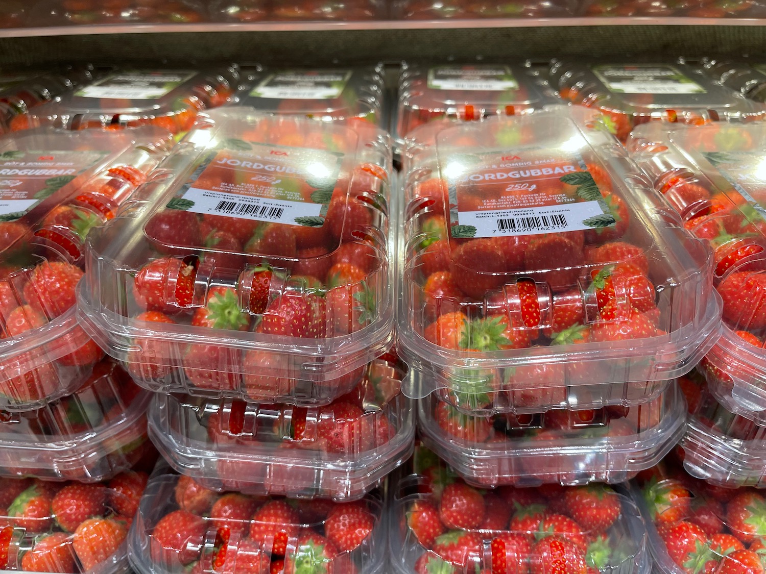 plastic containers of strawberries