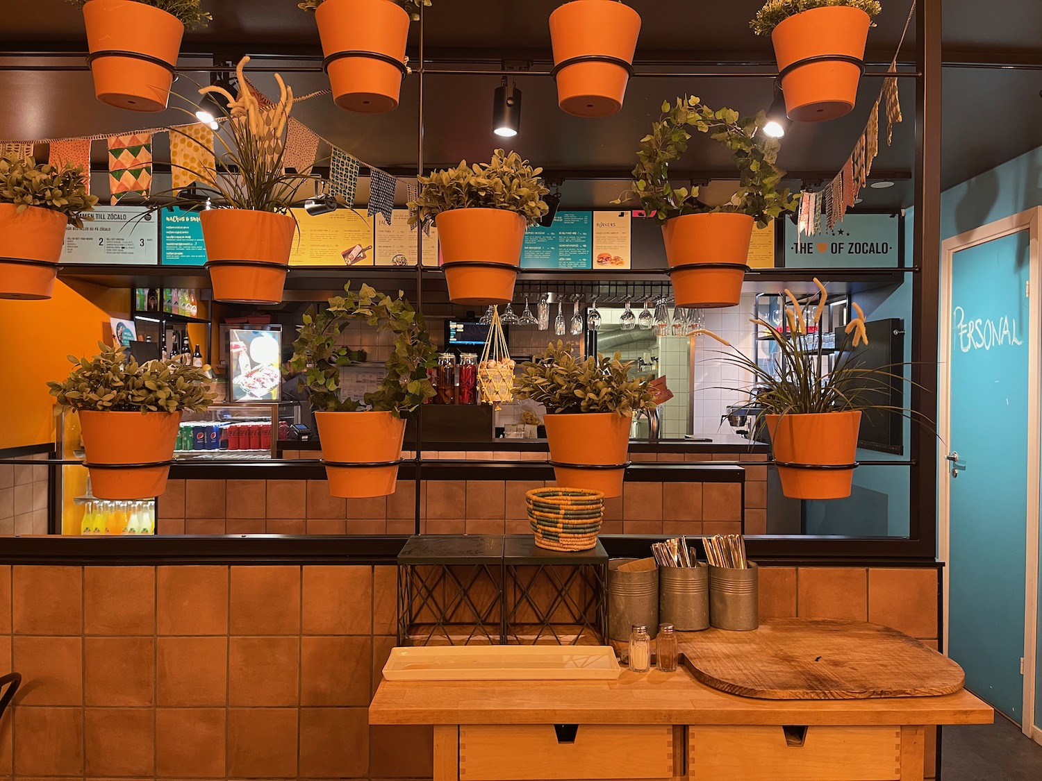 a group of potted plants from the ceiling