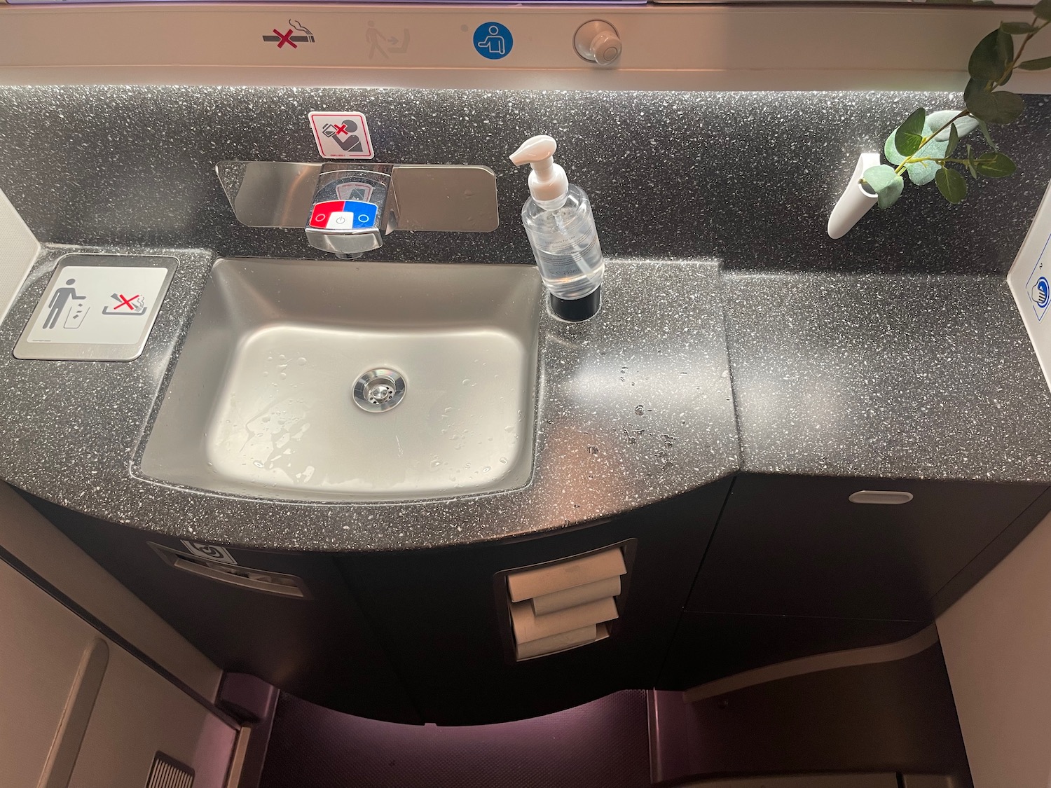 a sink with soap dispenser and a plant in a pot