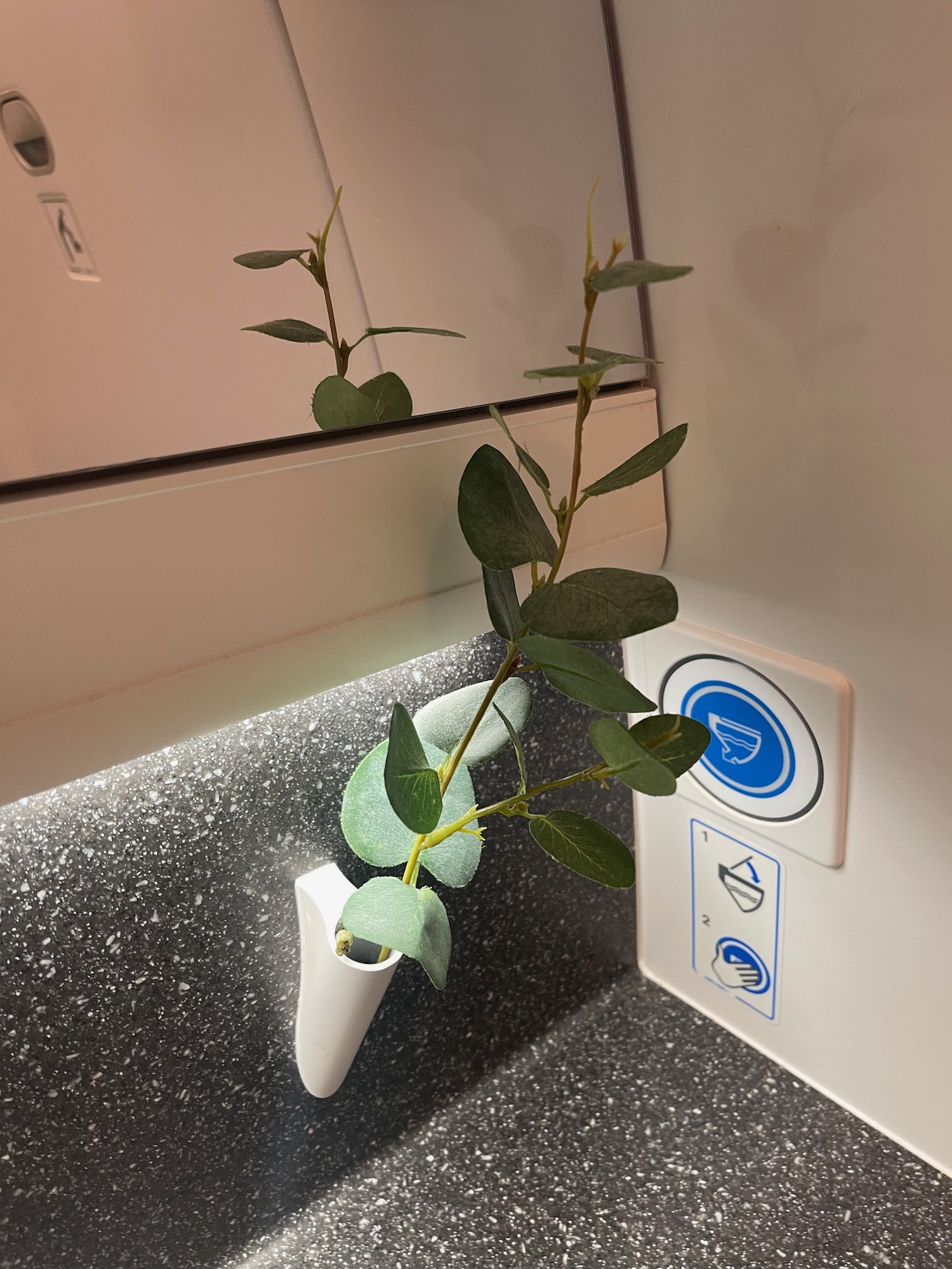 a plant growing in a sink