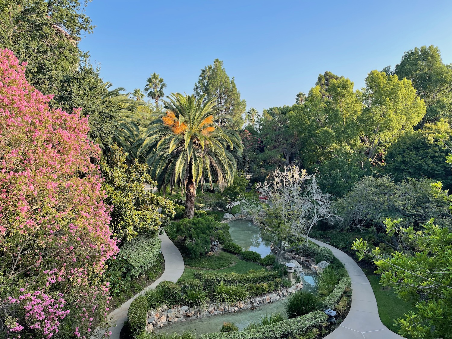 a walkway in a park with trees and plants