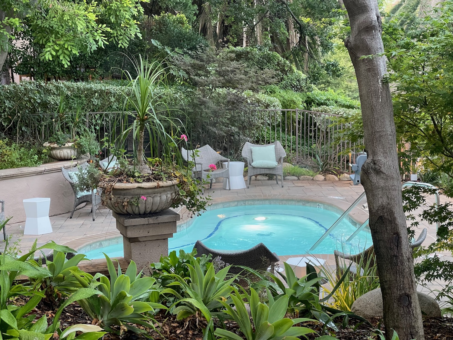 a pool with chairs and a tree in the back