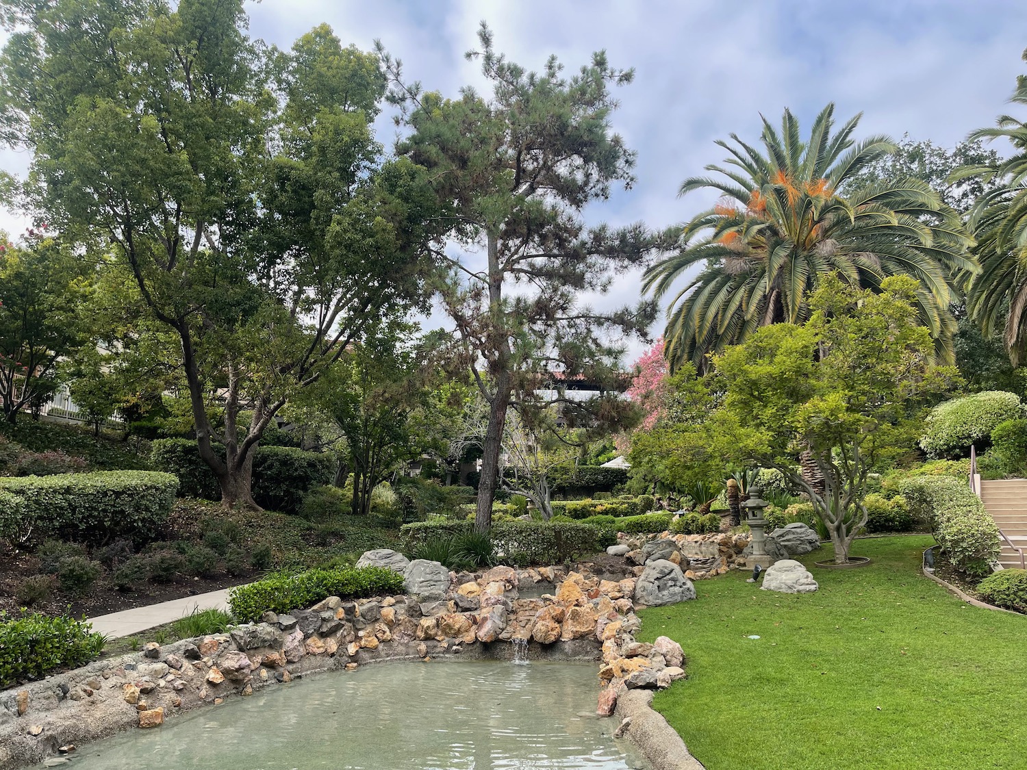 a pond in a park