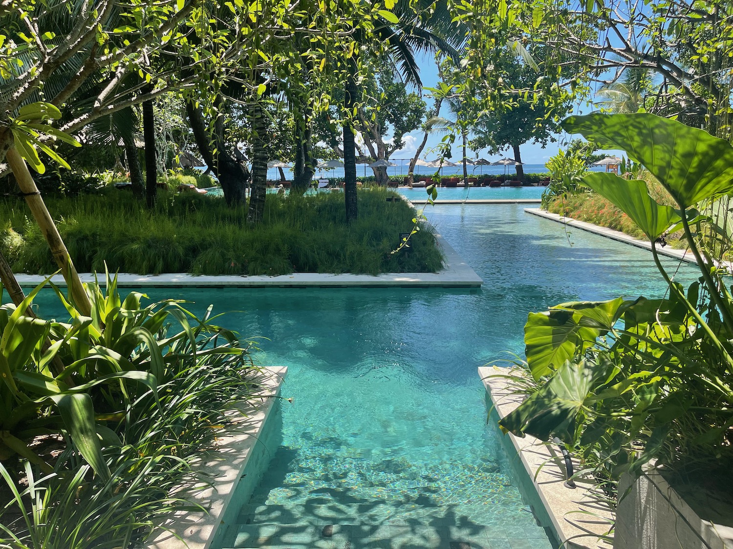 a pool with trees and plants