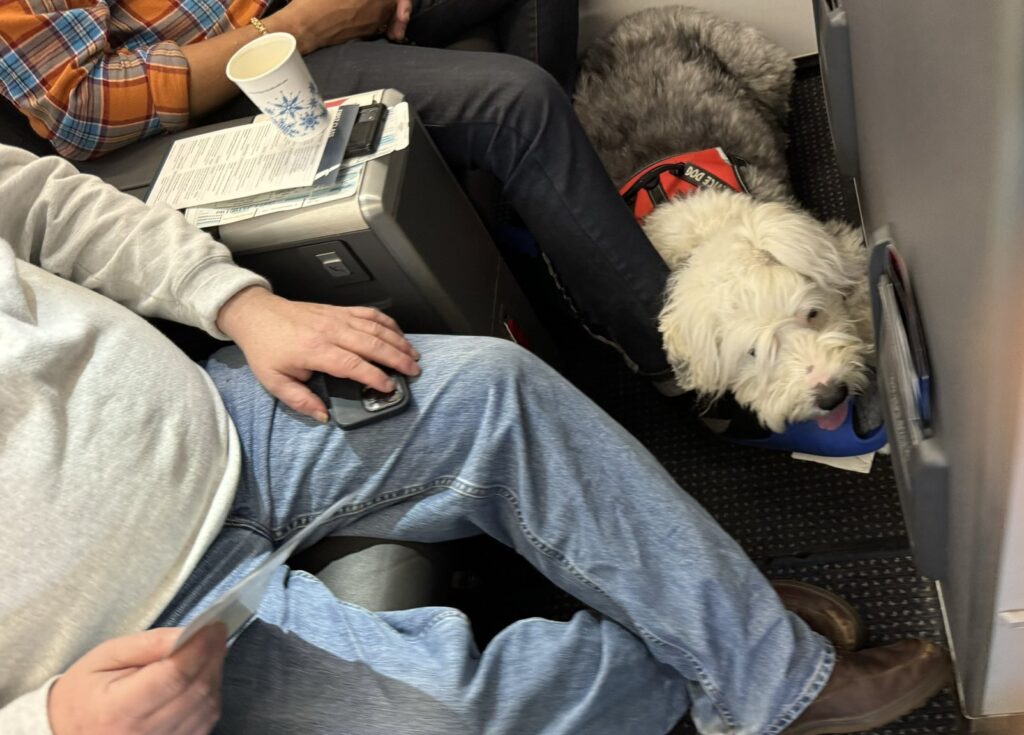 Man Claims American Airlines Bumped Him From First Class Seat To