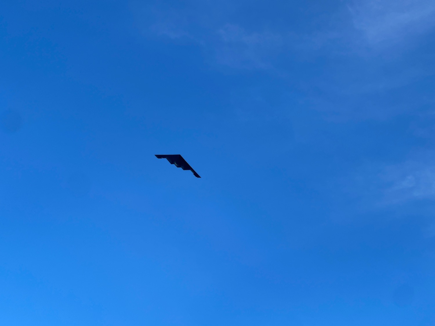 a bird flying in the sky