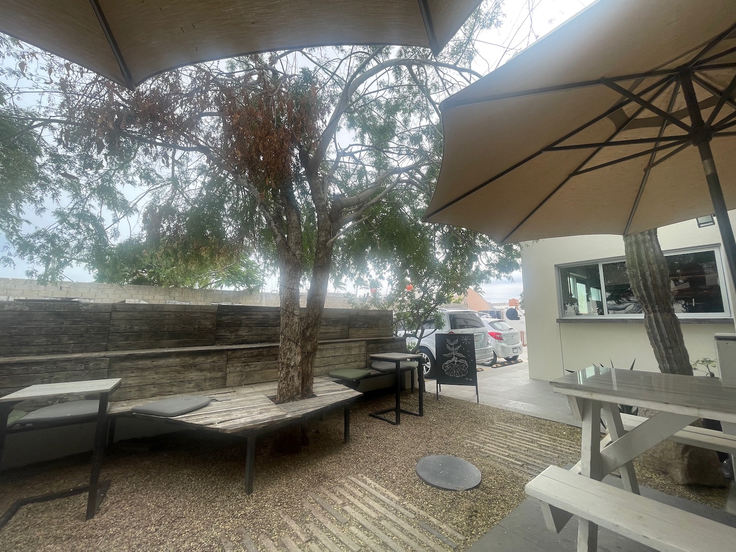 a patio with a tree and umbrellas