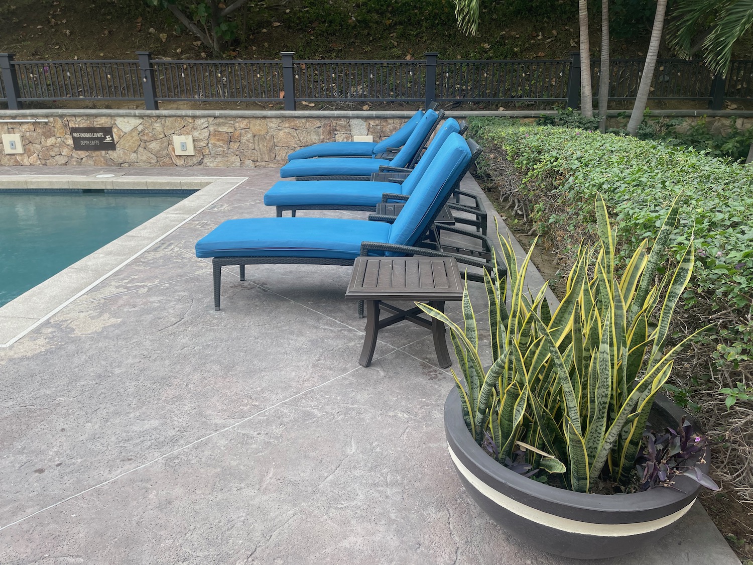 a pool with chairs and a plant