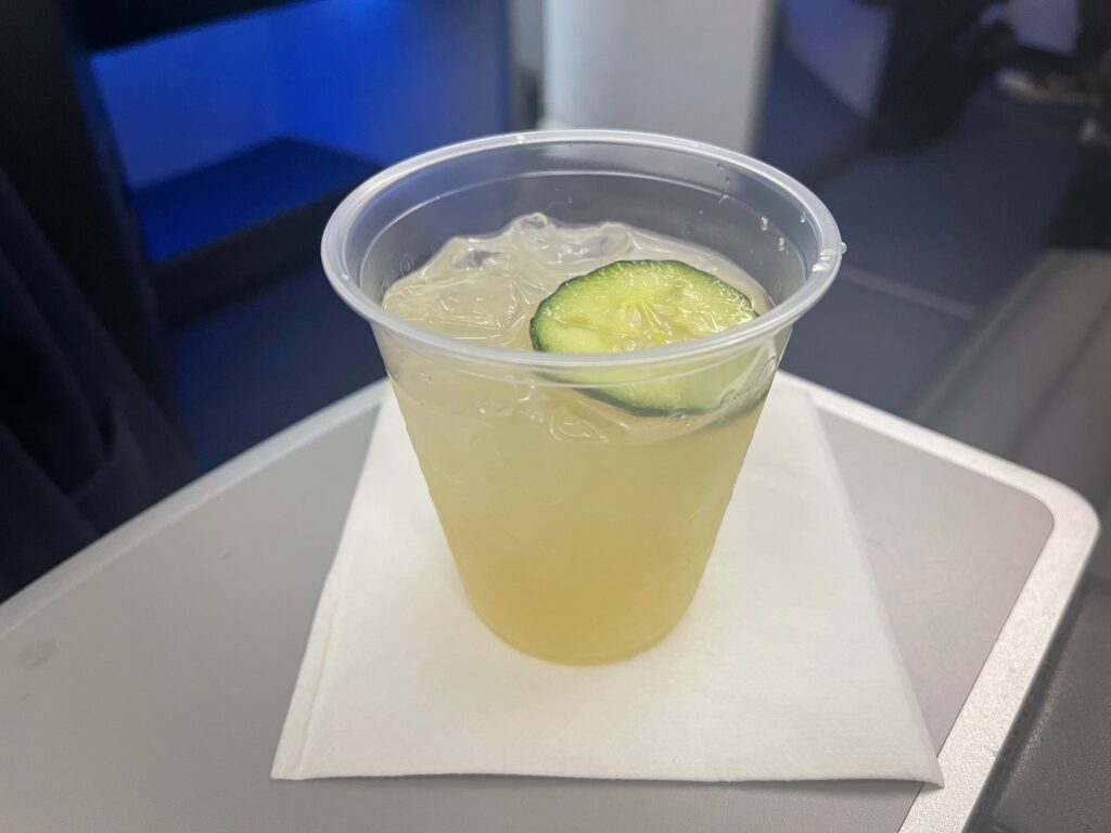 Review JetBlue A321 Mint Business Class (Redeye) Live and Let's Fly