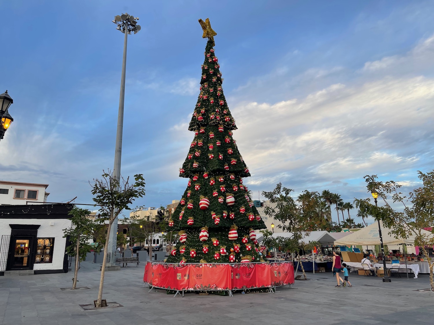 a large christmas tree in a plaza