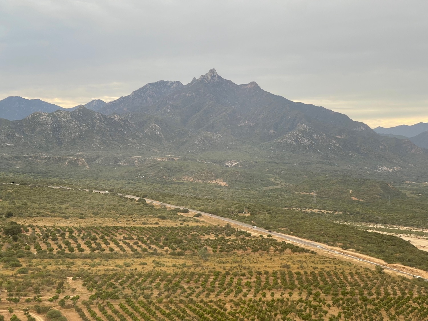 a road in a field with a mountain in the background