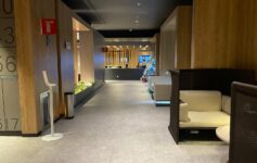 VIP Lounge SJD Review
