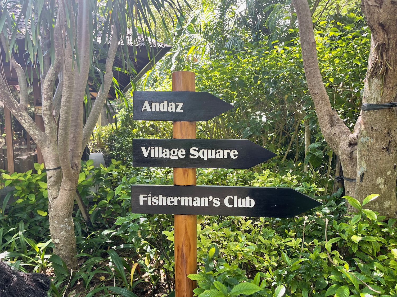 a sign post with different directions