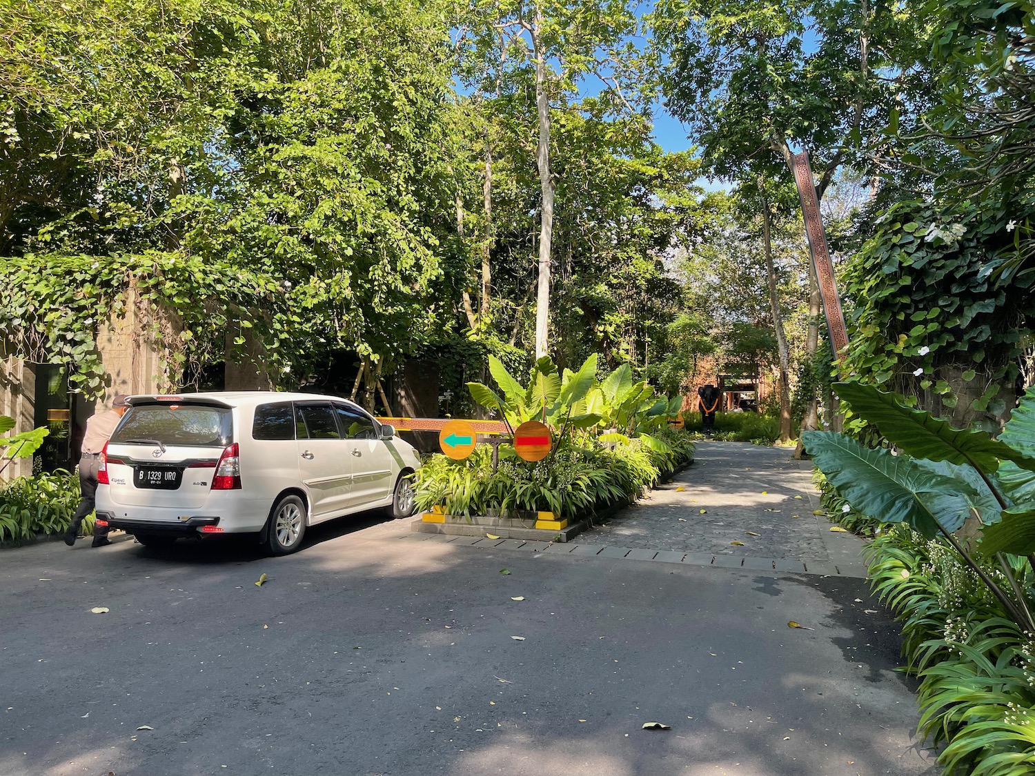 a car parked on a road with trees and plants