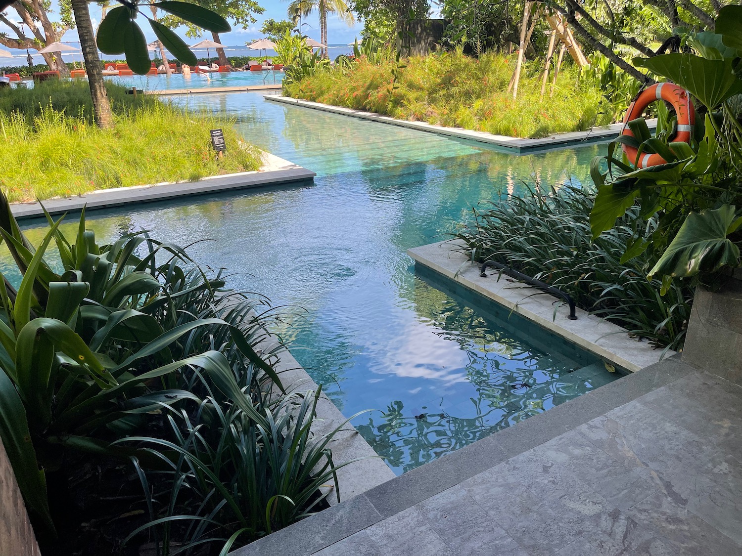 a pool with plants and trees
