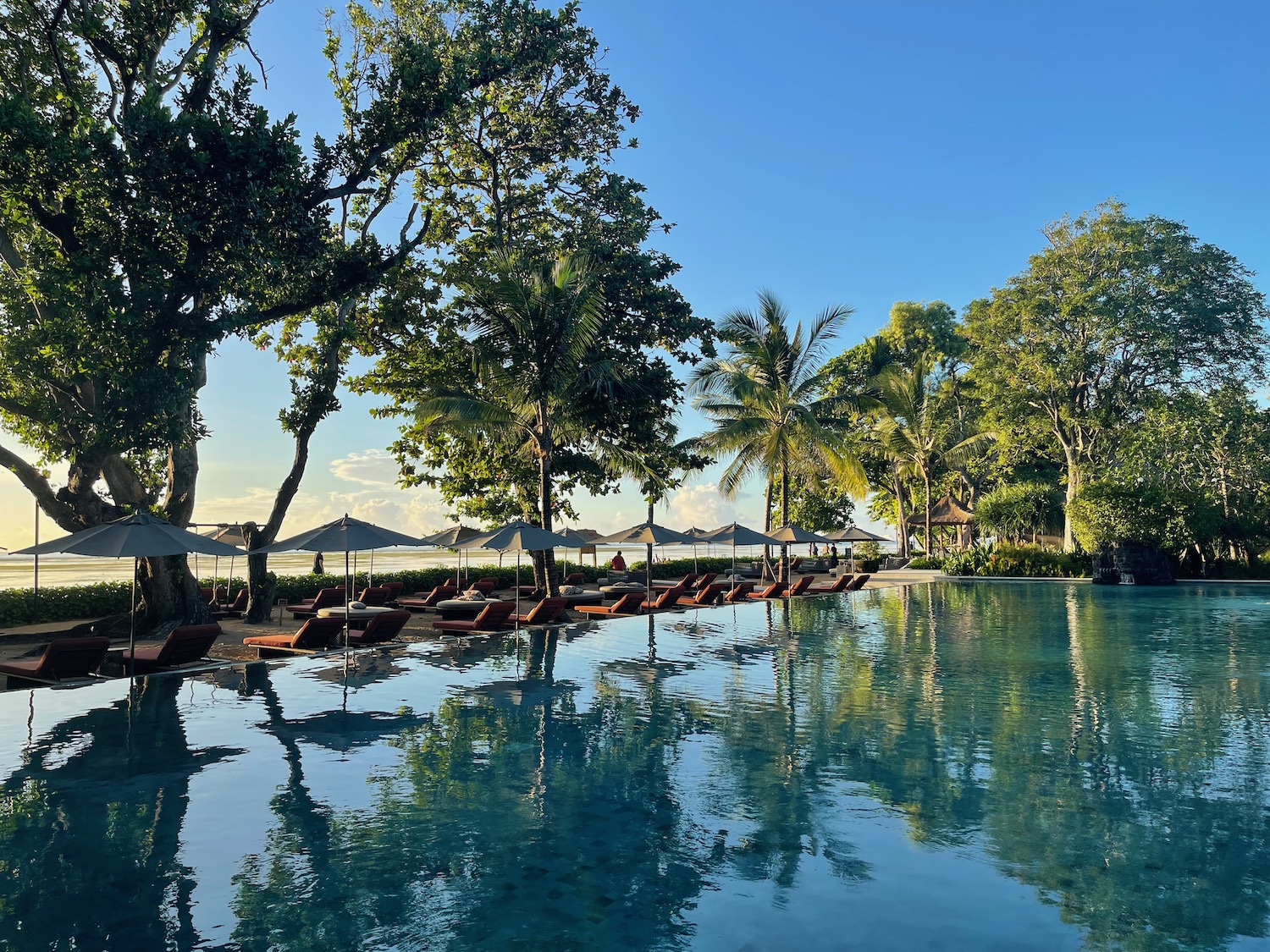 a pool with lounge chairs and umbrellas