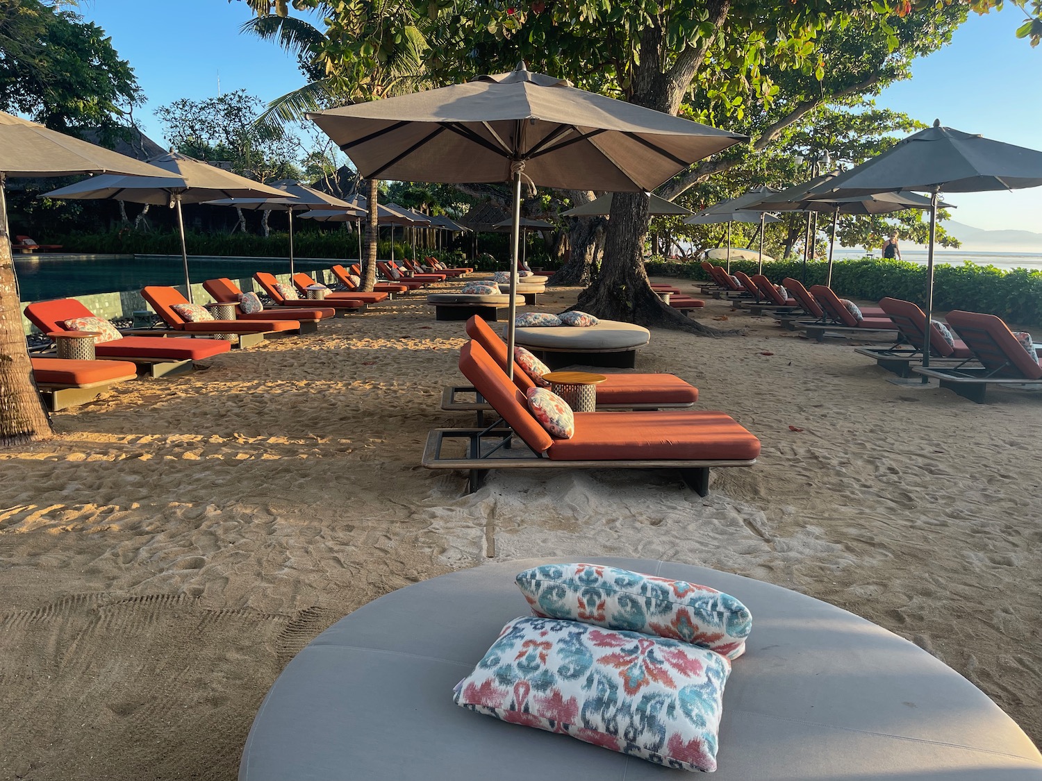 a beach with umbrellas and lounge chairs