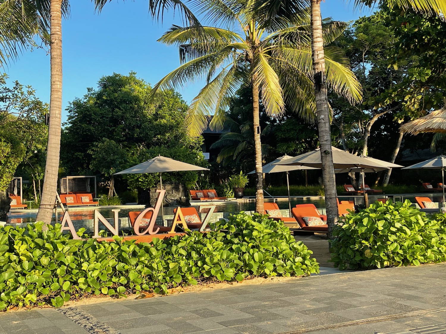 a pool with palm trees and chairs