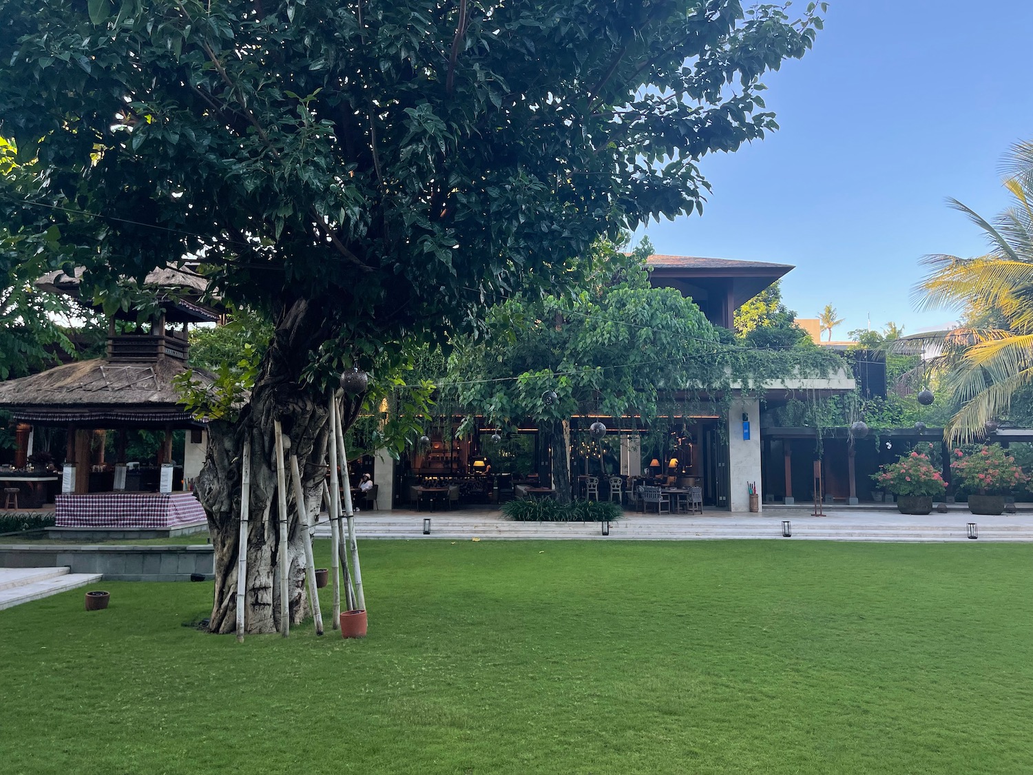 a tree in front of a building