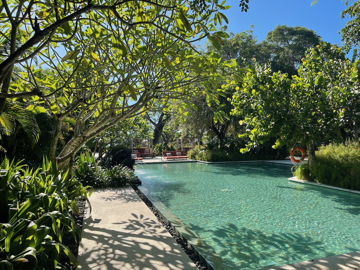 a pool with trees and a walkway