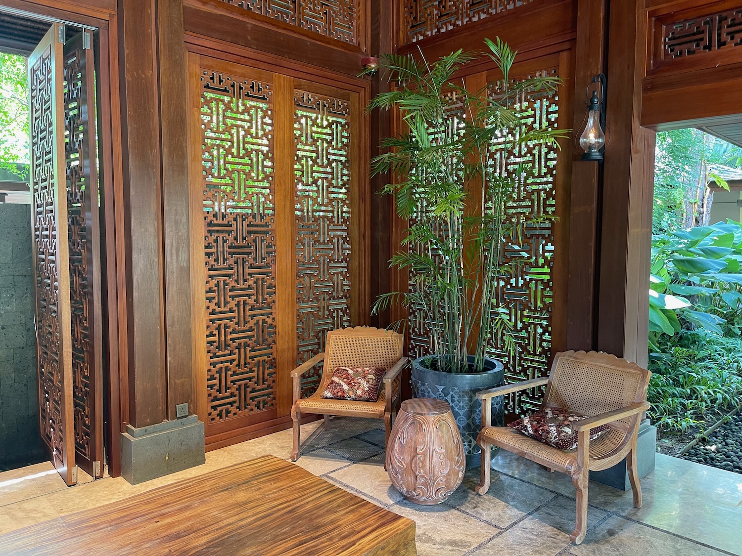 a room with chairs and a plant