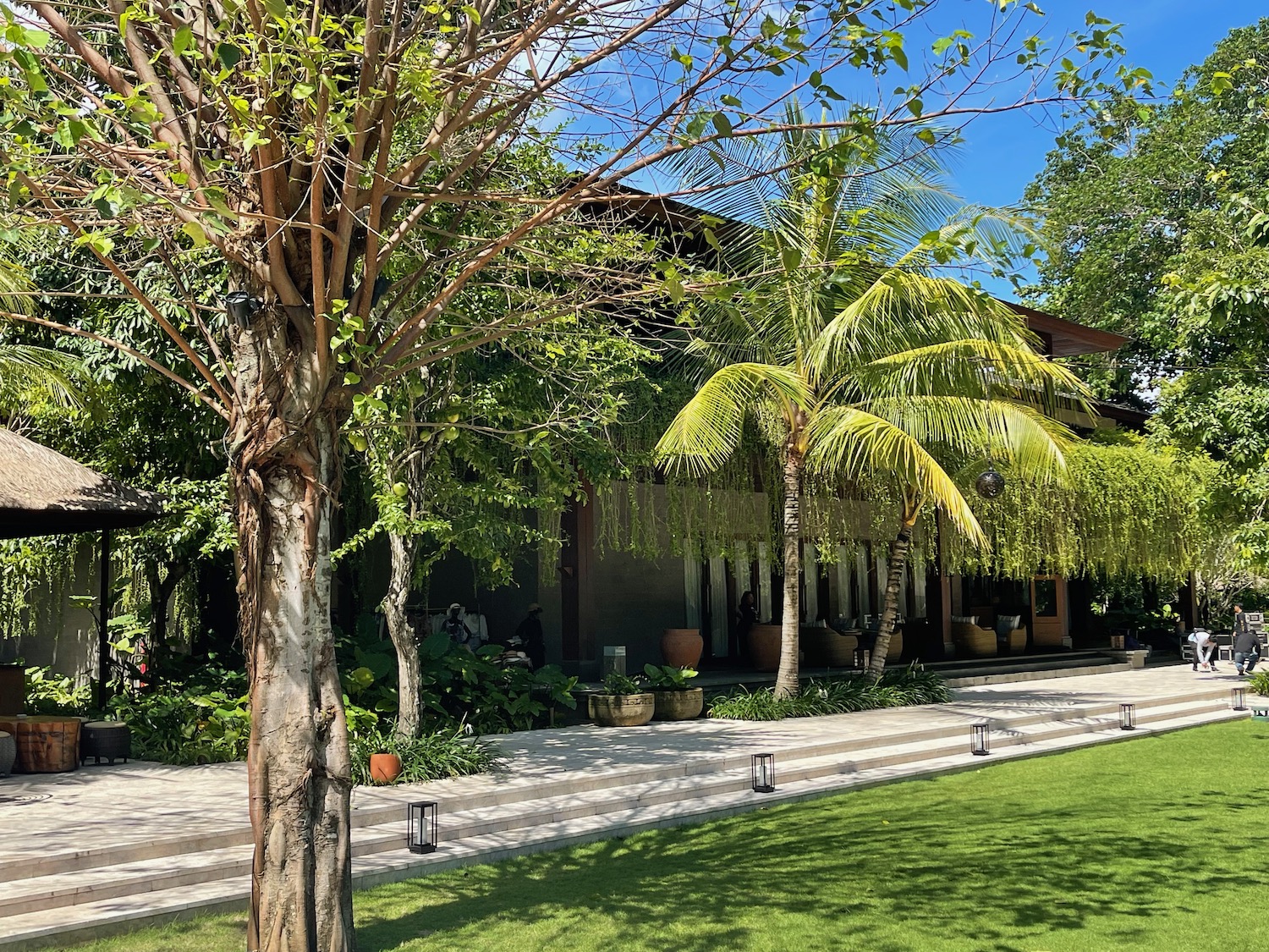 a building with palm trees and a walkway