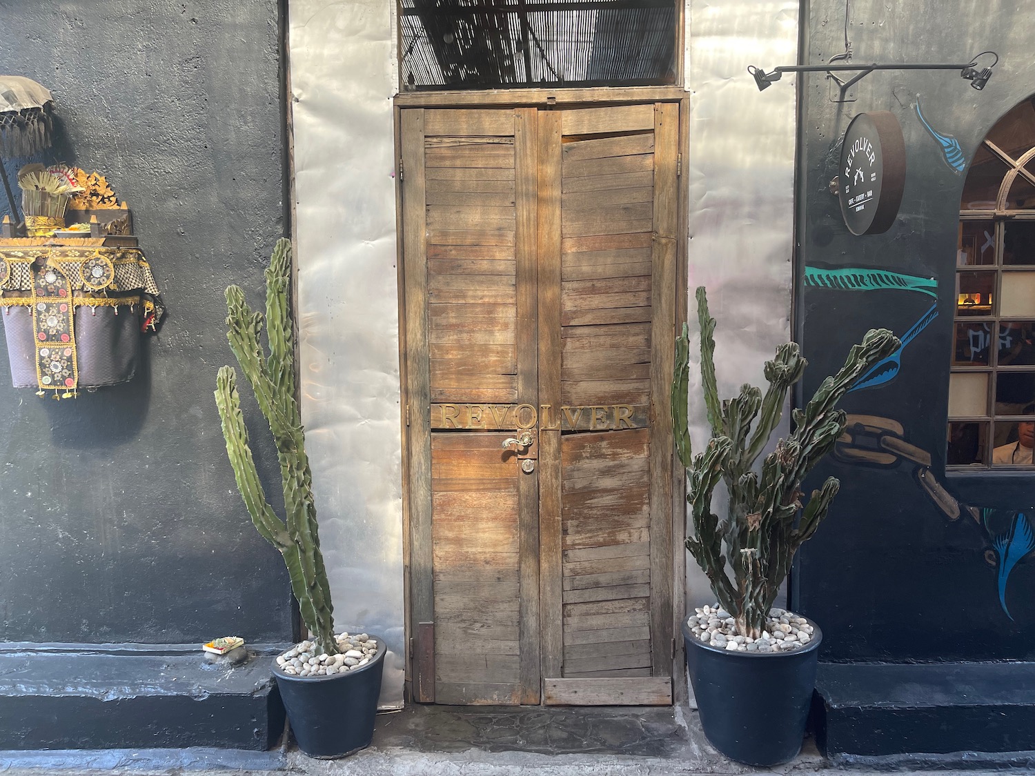 a wooden door with cactus in pots
