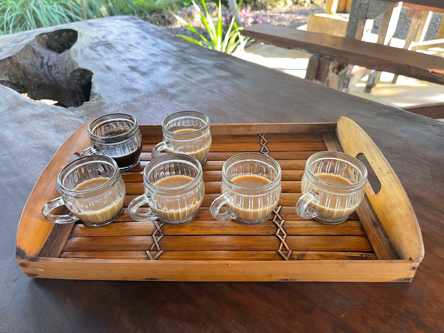 a tray of coffee cups on a table