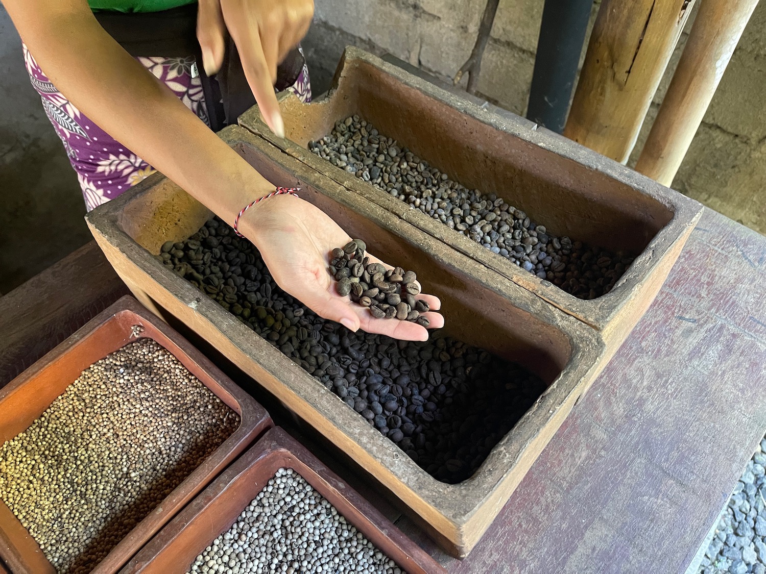 a person holding a handful of beans