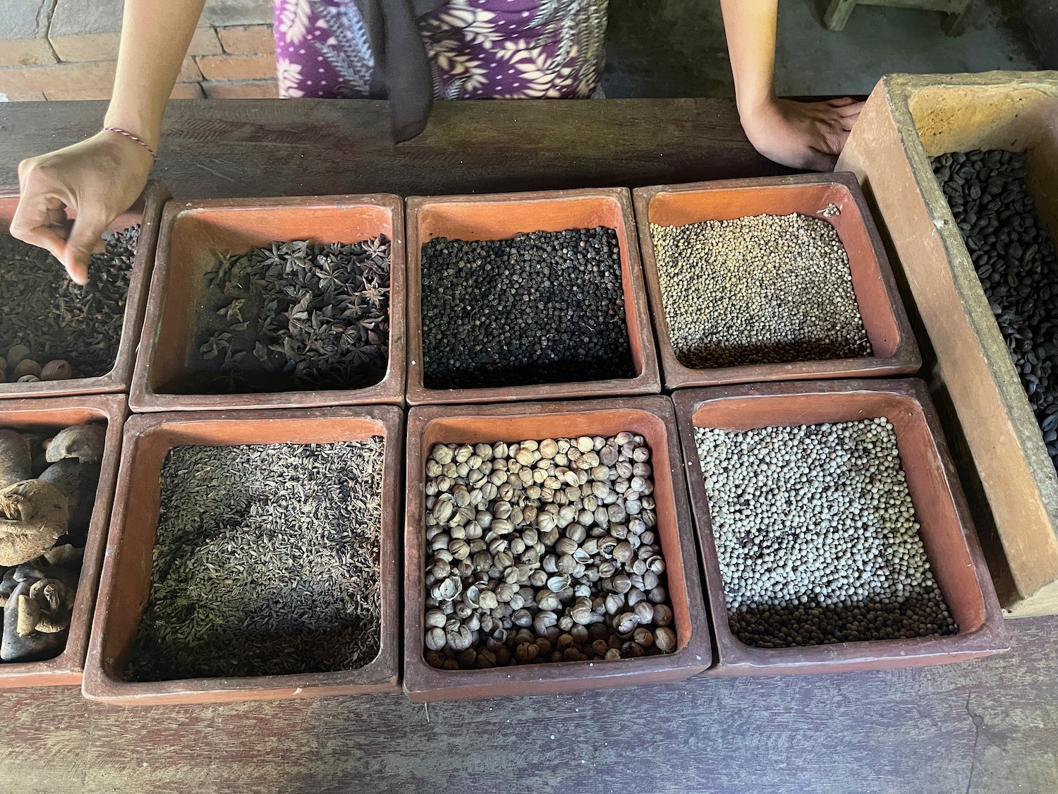 a group of square containers with different types of seeds