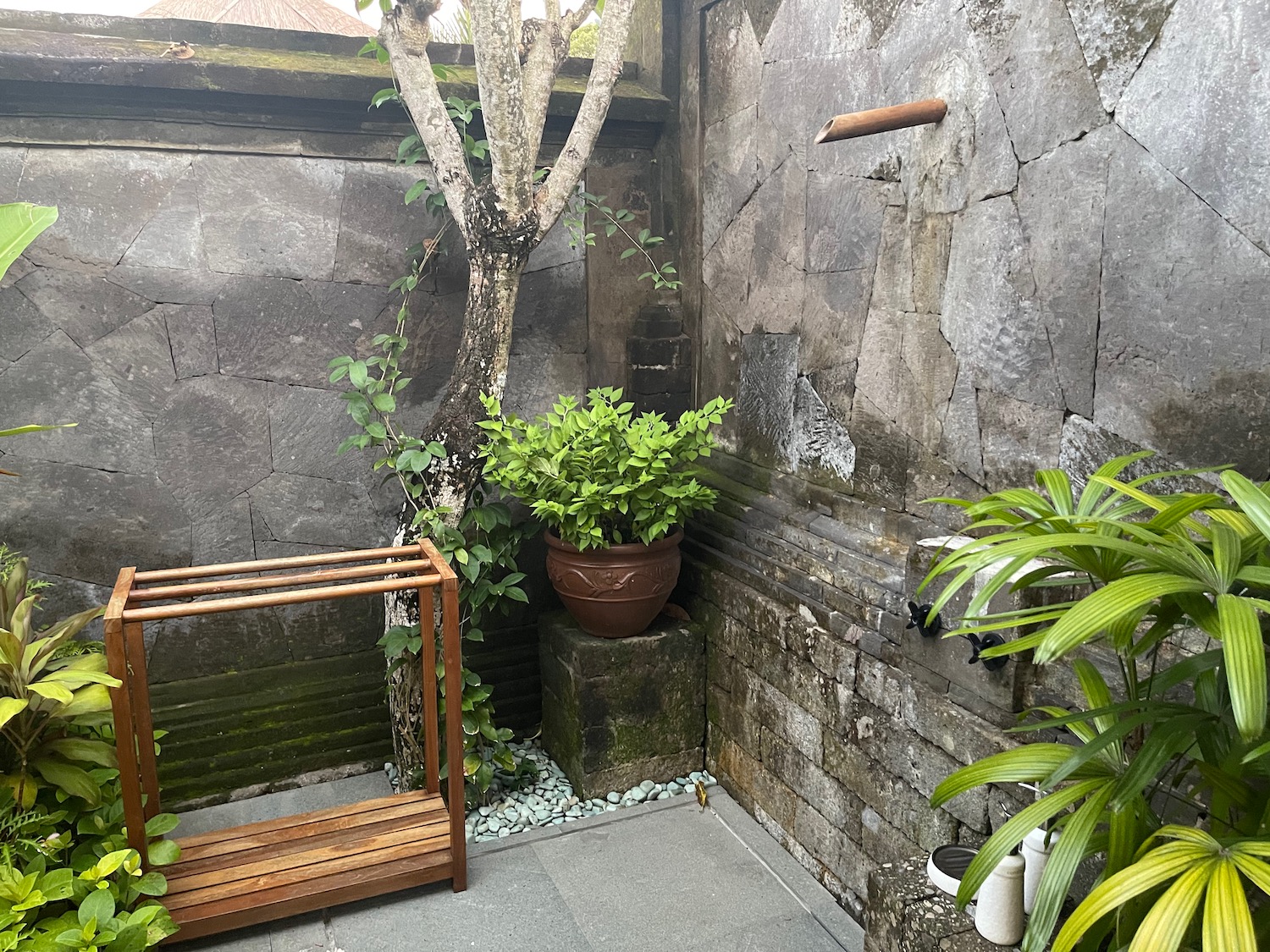 a stone wall with plants and a bench