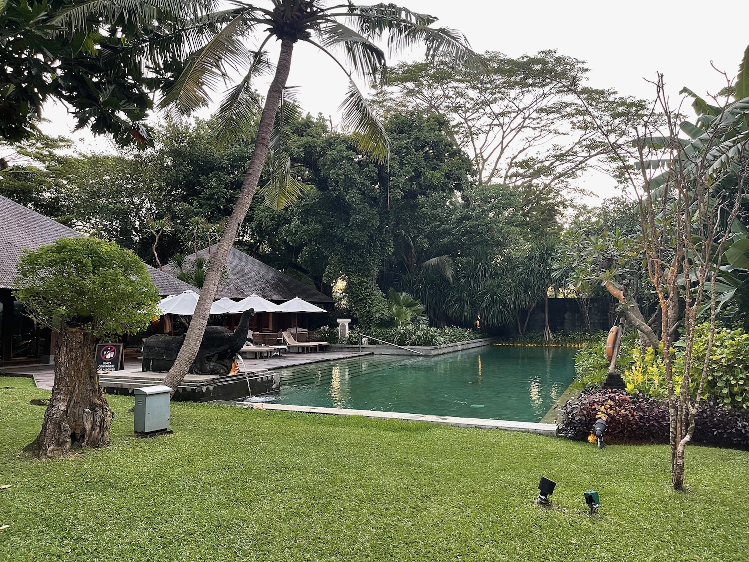 a pool with trees and a building in the background