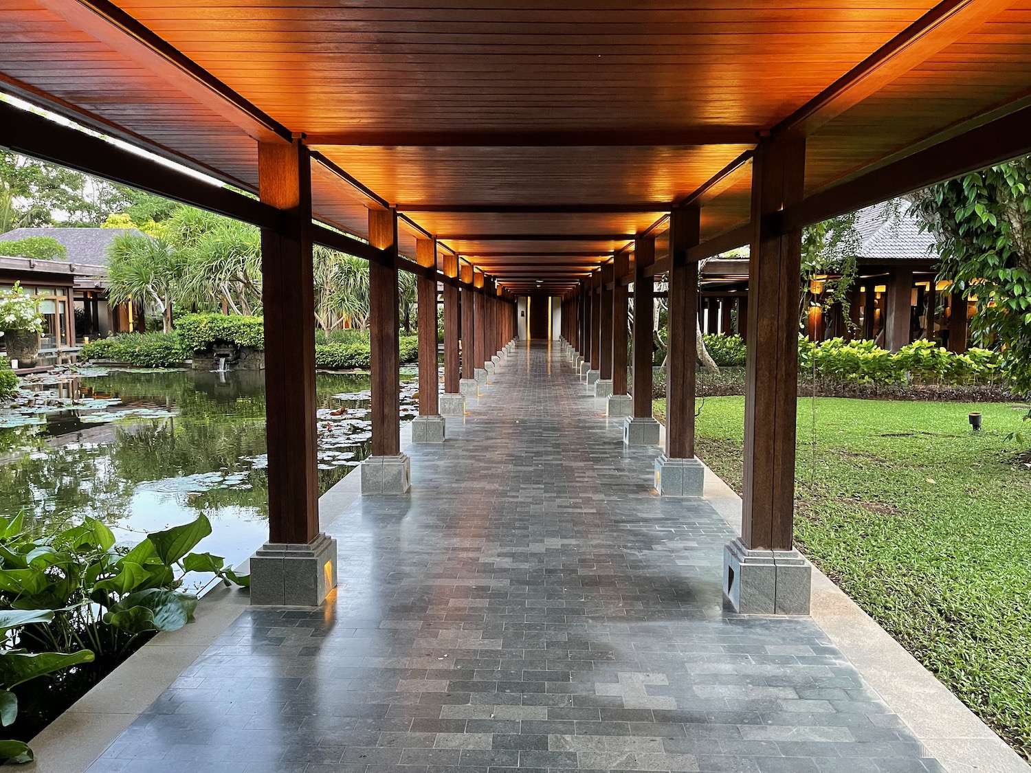 a walkway with a pond and trees