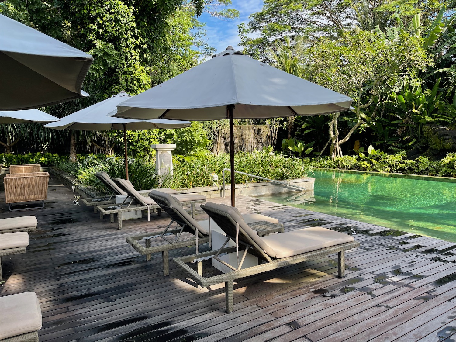 a pool with chairs and umbrellas