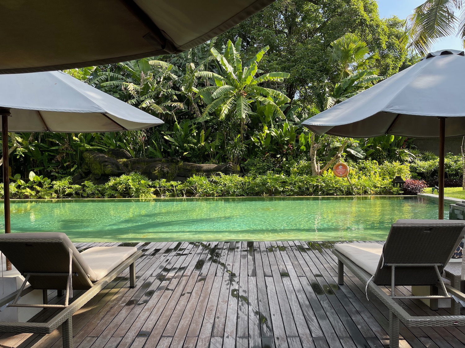 a pool with chairs and umbrellas